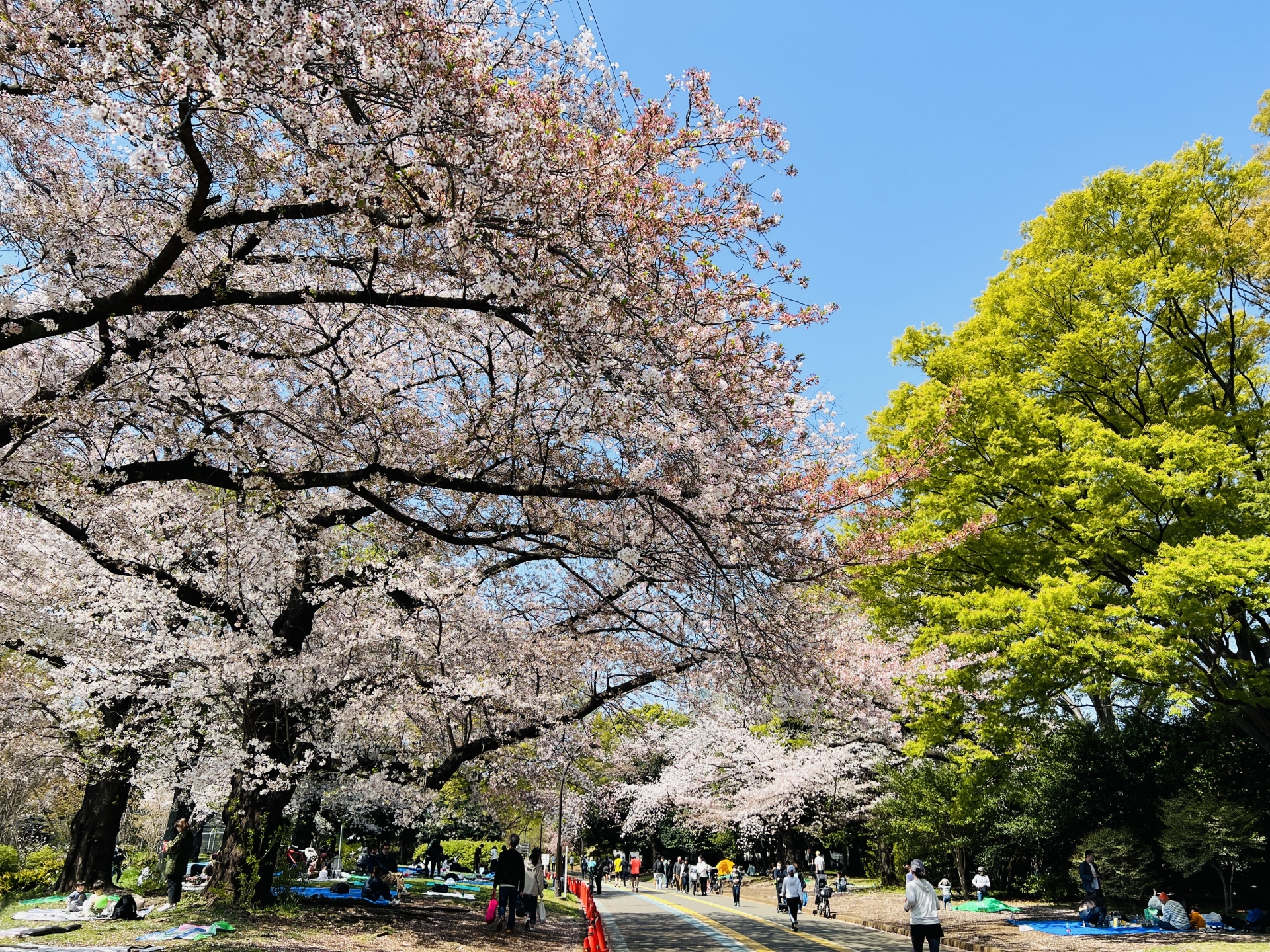 駒沢オリンピック公園